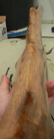 désolé pour la qualité