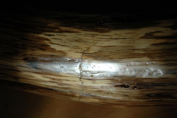 microfissure perpendiculaire.JPG