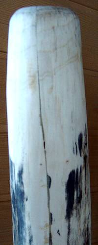 vue du collage en partant de l'embouchure, sur environ 20 cm de haut.