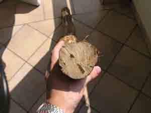 future embouchure.jpg