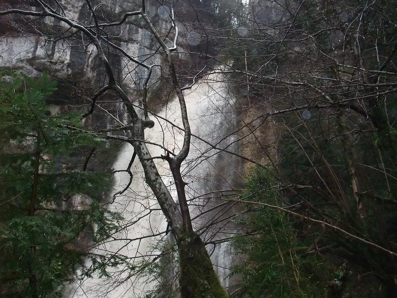DSCF1631_s.JPG