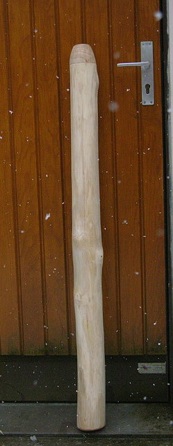 Erable racourci.640.jpg