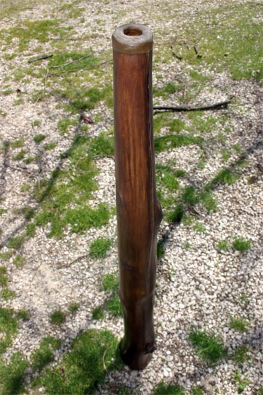 hey vous avez vu ? ya plus de neige !!