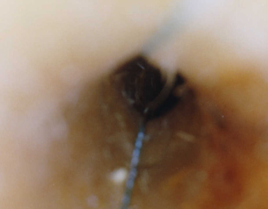 interieur didge yo.jpg