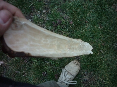 La premiere partie creusée vu de &amp;quot;la cloche&amp;quot;...<br />J'ai creusé l'autre mais pas de photo (il fait nuit) !!!