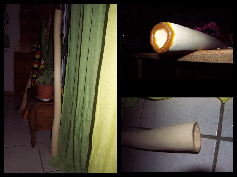 sandidge peuplier.jpg