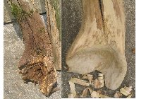 la cloche avant et après