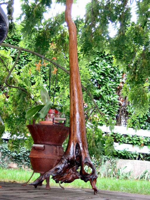 du haut de ces 2m 10.JPG