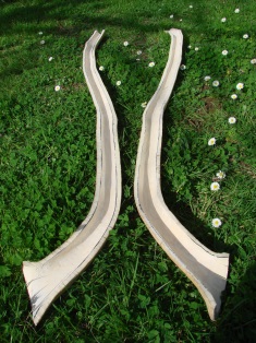 Au jardin d'éden ...