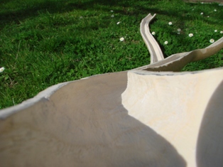 CHOUETTE TOBOGANT ? NON ?