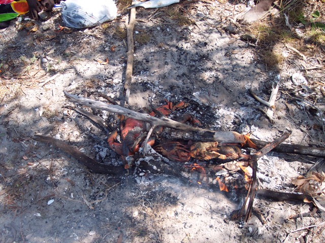Les crabes dans le feu