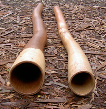 didge_pair_l.jpg