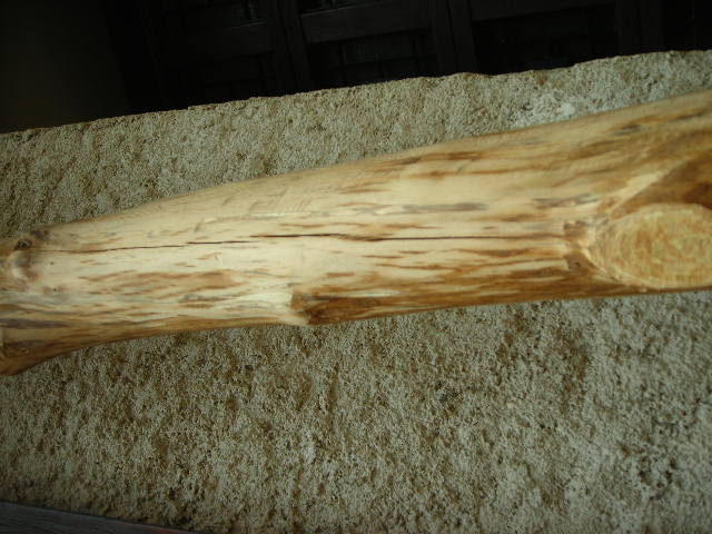 DSCN4760.JPG