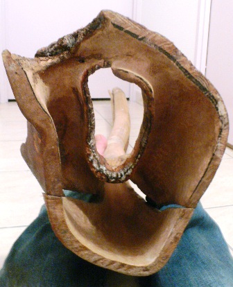 La cloche qui m'en a fait tant bavé