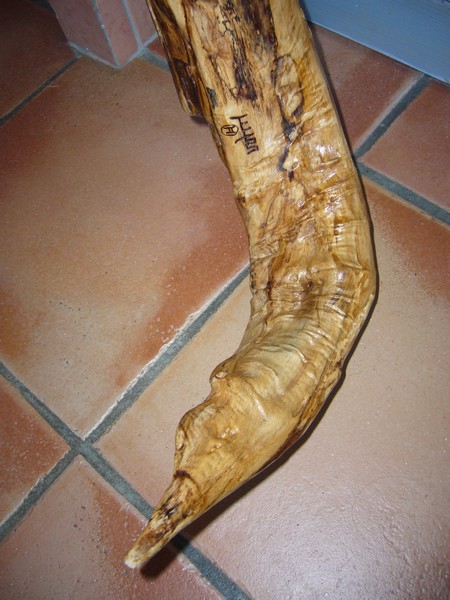 P1000851.JPG