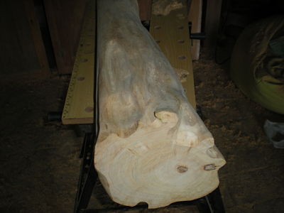 DSCN3334_opt.jpg