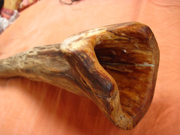 détail de la &quot;pseudo cloche&quot; . ce n'était pas un tronc, juste une branche. l'arbre en lui même est peut être centenaire !
