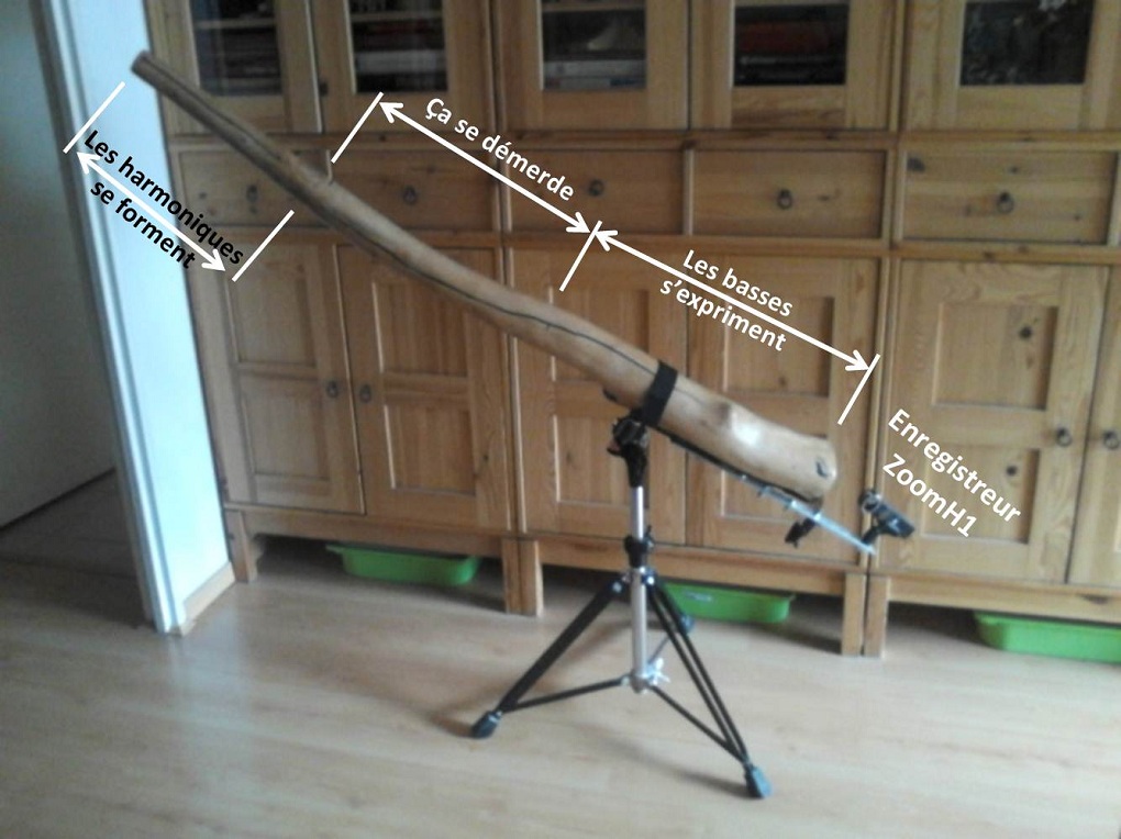 Didge commenté.jpg