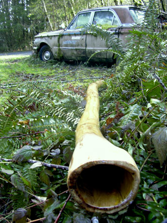 voiture dead inna Orégon US state.jpg