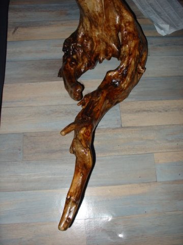 Dsc02723.jpg