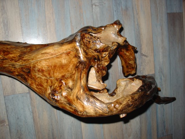 Dsc02726.jpg