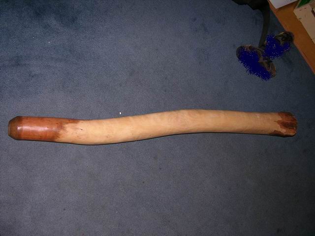 Resize of Resize of DSCN1224.JPG