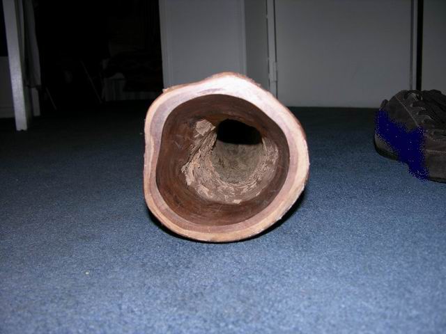 Resize of Resize of DSCN1223.JPG