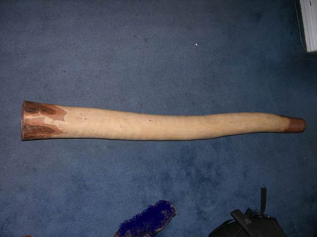 Resize of Resize of DSCN1219.JPG