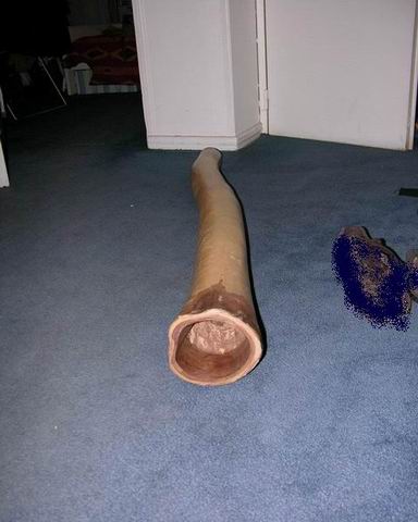 Resize of Resize of Resize of DSCN1220.JPG