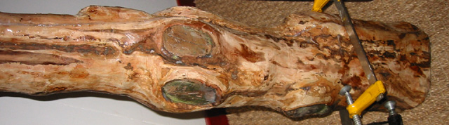 taille :1 m 18
<br />bois : poirier nain centenaire
<br />diam embouchure :4-3
<br />diam base :18 cm
<br />note :fa ou fa #
<br />
<br />pas fini