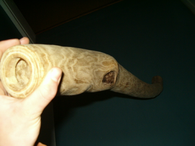 serait-ce un lointain cousin du Snake?????