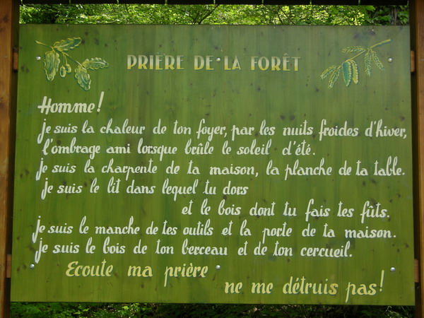Prière de la forêt.jpg