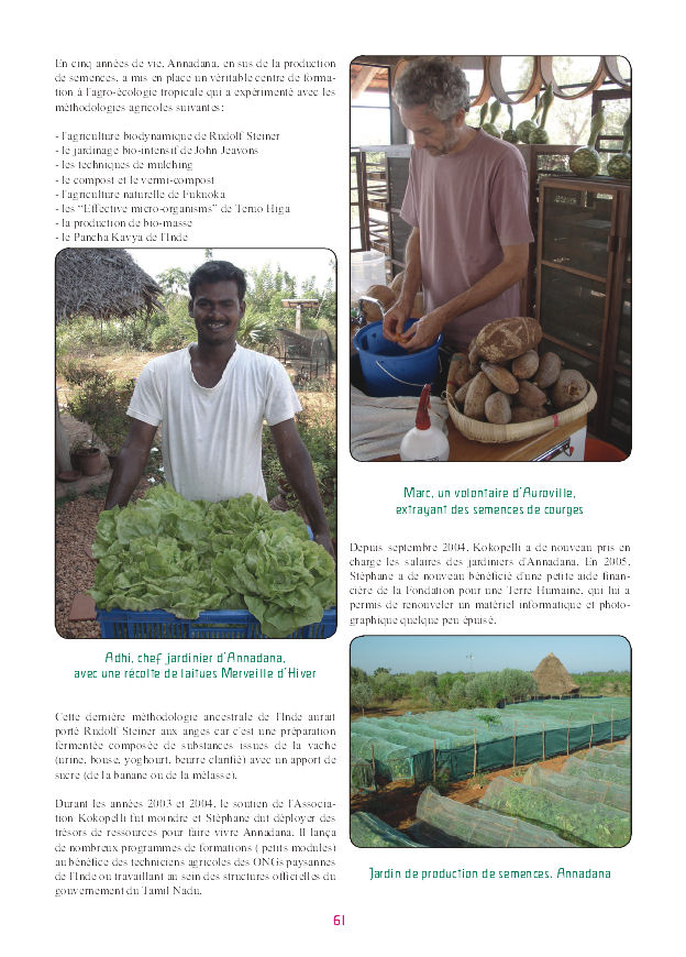p-production-semence-inde.jpg