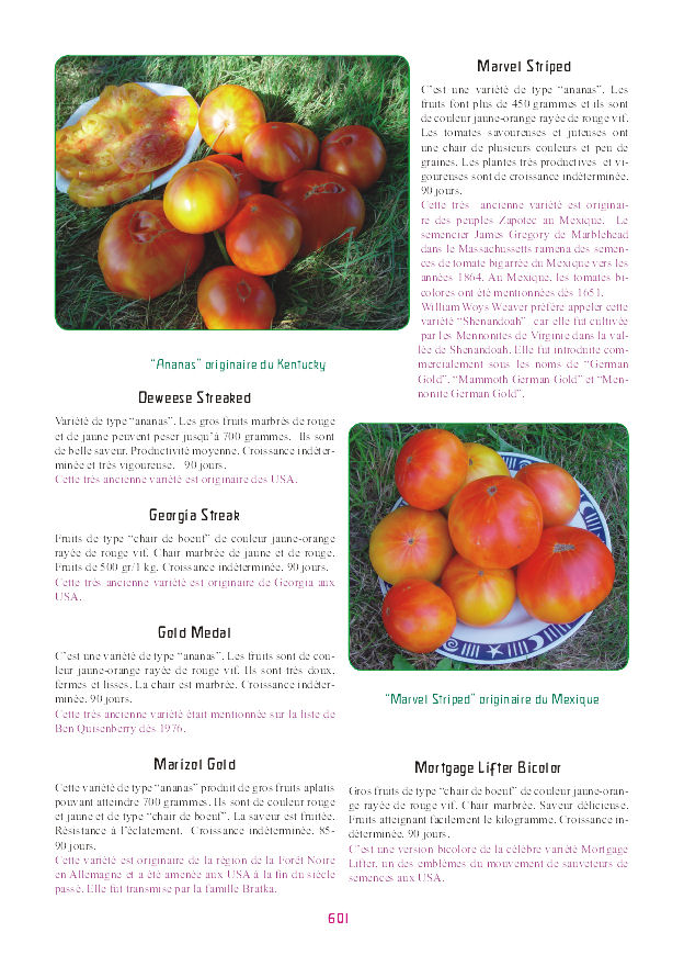 p-tomate-biodiversite.jpg